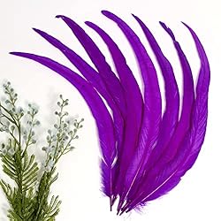 THARAHT 20PCS Rooster Coque Tail Feathers Bulk