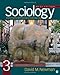Sociology: Exploring the Architecture of Everyday Life, Brief Edition