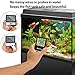 Qguai Aquarium Thermometer, C/F Switch LCD Digital Fish Tank Thermometer with Large Clear Screen, Monitor Water Terrarium Temperature, No Messy Wires in Your Saltwater Freshwater and Reef Aquarium.