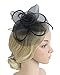 Urban CoCo Women's Vintage Flower Feather Mesh Net Fascinator Hair Clip Hat for Party Wedding (Black)