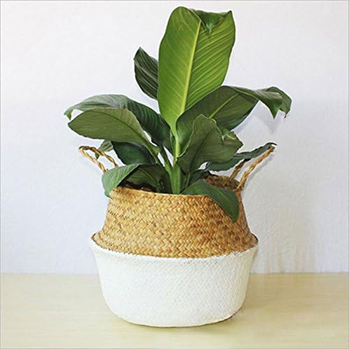 SAWEY Handmade Woven Hanging Basket,Home Storage Organization Hand-woven Collapsible Plant Pots Natural Seaweed Woven basket Home Garden Wedding Wall Decoration