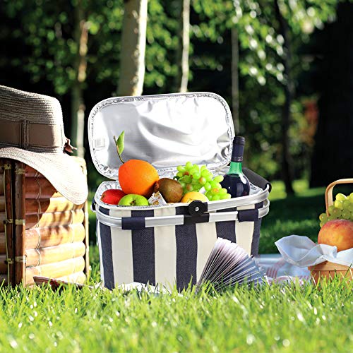 HappyPicnic 25L Insulated Cooler Bag with Foldable Aluminium Handle