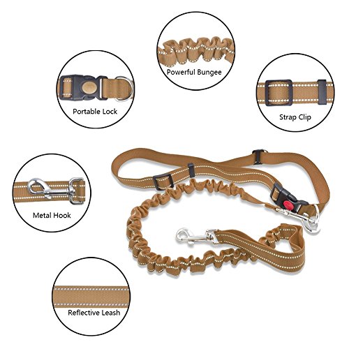 image for Neeyer Hands Free Dog Leash, Running Dog Leash with Bungee, Reflective