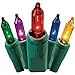 GE String A Long 100 Count Indoor / Outdoor Mini Multicolor Holiday Lights Set on Green Wire (2 Pack)
