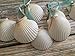 White Scallop Seashell Christmas Ornaments (Set of 10)