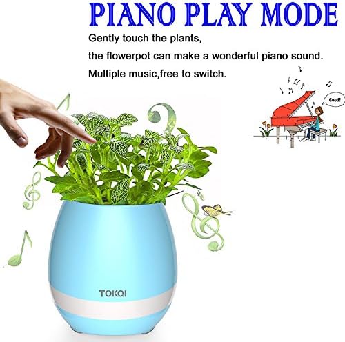 [TOKQI Original] Bluetooth Music Flowerpot, Rechargeable Bluetooth Speaker, Multi-color LED Night Light (3 in 1), Christmas Gift Real Plant Musical Pot for Office Home Decor (Blue)
