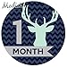 Modish Labels, 12 Monthly Baby Stickers, Baby Boy, Woodland, Deer, Antlers, Chevron, Mint, Navy Blue, Gray, Grey, Baby Month Stickers, Baby Book Keepsake, Photo Prop, Baby Shower Gift