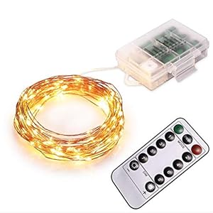 Wire Fairy String Lights 10 in 1 LED with Power Box for Wall Garden Lawn Patio Wedding Party Indoor Outdoor Decorations…