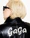 Lady Gaga - Book by Lady Gaga