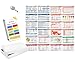 Scrubnotes - Medical Reference ID Badge Cards for Nurses and Doctors - 13 Card Set with Pocket Medical Abbreviation Booklet
