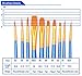 AOOK 10 Pieces Paint Brush Set Watercolor Brushes Professional Paint Brushes Artist for Watercolor Oil Acrylic Painting (1-Pack)