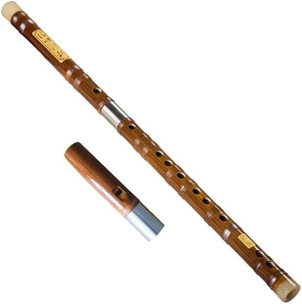 Flauta, horizontal y vertical, ideal para principiantes adultos