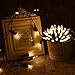 Joomer 50 LED String Christmas Lights (Warm White)