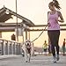 EzyDog HANDY 48 Bungee Dog Leash - The Best Hands-Free Running Leash Training Lead with Superior Control and Reflective Stitching - ZERO SHOCK Shock-Absorbing Technology (Adjustable 36” - 48”, Red)