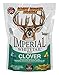 Whitetail Institute Imperial Clover Food Plot Seed (Spring and Fall Planting), 4-Pound (1/2 Acre) primary