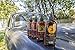 Bossman Jelly Beard Oil Variety Pack - Beard Grooming Care Kit - All 6 Beard Jelly Oil Scents - Made in USA