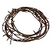 Nicky Bigs Novelties 8 Foot Fake Rusted Barbed Wire Decoration, Brown