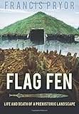 Flag Fen by