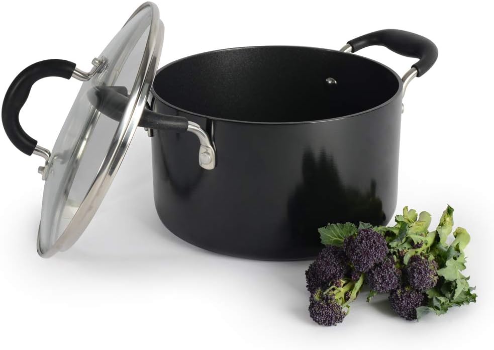 ProCook Gourmet NonStick Induction Stock Pot with Lid 20cm 3.6L