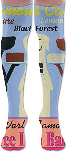 Labrador Chocolate Cake Long Socks Knee High Sock Winter Socks For Running,Walking,Hiking,Cycling And More
