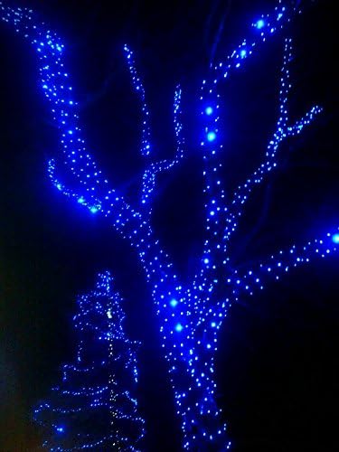 Indoor Outdoor 8 Mode Decoration Mini Fairy String Lights 200t 65ft Fairytale Effect Blue Led String Lights Patio Lights Blue