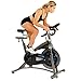 ASUNA 5100 Magnetic Belt Drive Commercial Indoor Cycling Bike Silver