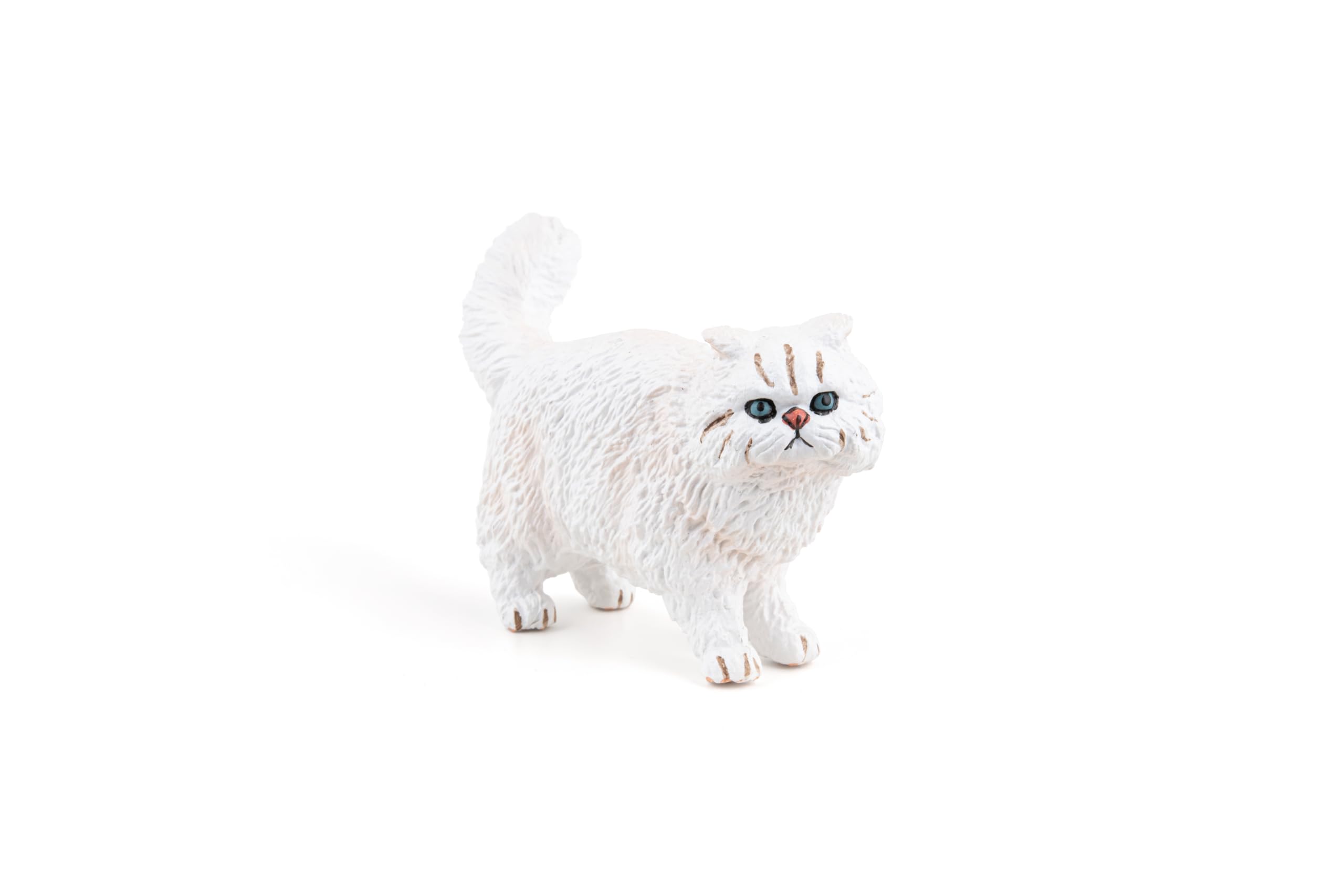 PAPO Persian cat