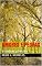 Livro AMORES E PEDRAS: e outras poesias (Poesia brasileira Livro 8)