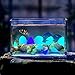 LXEYE Garden Pebbles,Glow Stones Rocks, 200pcs Glow in The Dark Garden Pebbles, Glow Stones Luminous Rocks for Walkways Outdoor Decor Aquarium Fairy Garden, Outdoor Glow Stone Rocks Garden Decorative