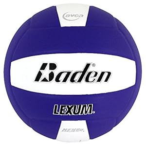 Baden Lexum Composite Game Volleyball