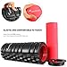 Foam Roller, Sportneer Foam Rollers with 2 Screw-in Cover Lids, Trigger Point Roller Stick for Deep Tissue Muscle Massage, with Manual & Carry Bag
