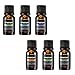 VicTsing Set of 6 Aromatherapy Essential Oil 100% Pure Therapeutic Grade, Scented Oil Basic Sampler Set (Orange, Lavender, Tea Tree, Lemongrass, Eucalyptus, Peppermint, 6 Bottles 10ml/.33fl oz Each)