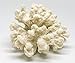 White Resin Sea Coral Piece | 3.5