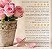 Alra - Mild Conditioning Shampoo - Gentle Cleanser and Conditioner for Cancer Patients During and After Radiation and Chemotherapy - Improves Fragile Hair - Promotes Growth (8oz)
