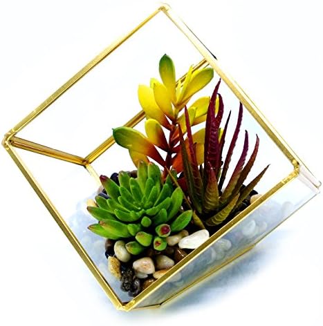 Cvens Clear Glass Terrariums,Geometric Terrariums,Geometric Air plants terrarium,Succulent planters,Artficial Plants Air Plant Geometric Terrariums Holder for Tabletop Succulent Plants Holder