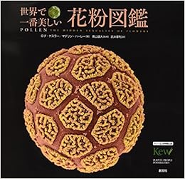 世界で一番美しい花粉図鑑 マデリン ハーレー ロブ ケスラー 奥山 雄大 武井 摩利 本 通販 Amazon