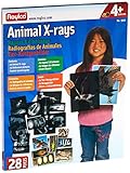 Roylco R5910 Animal X-Ray Set, 8