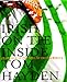 Irish on the Inside: In Search of the Soul of Irish America by 