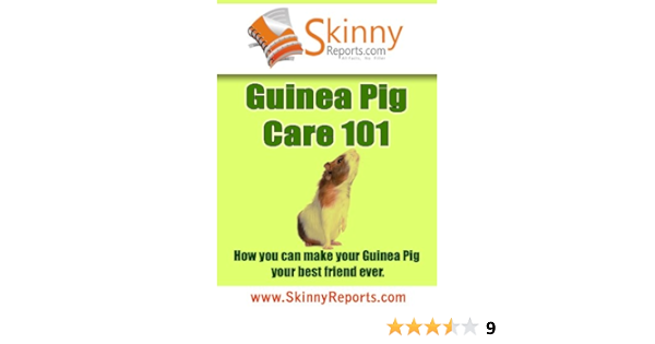guinea pig 101
