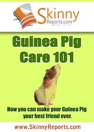 guinea pig 101 care