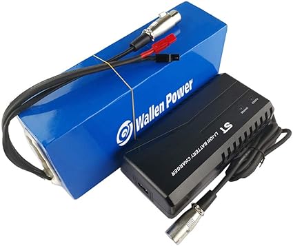 battery for 48v 1000w motor