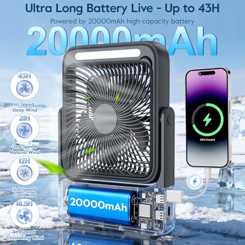 Shayson Portable Fan 20000mAh Camping USB Fan with LED Light, 4 Speeds, 12-43 Hours of Operation, Smart Display, Low Noise, for Office/Home/Travel/Camping (Black)