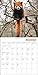Red Pandas Wall Calendar