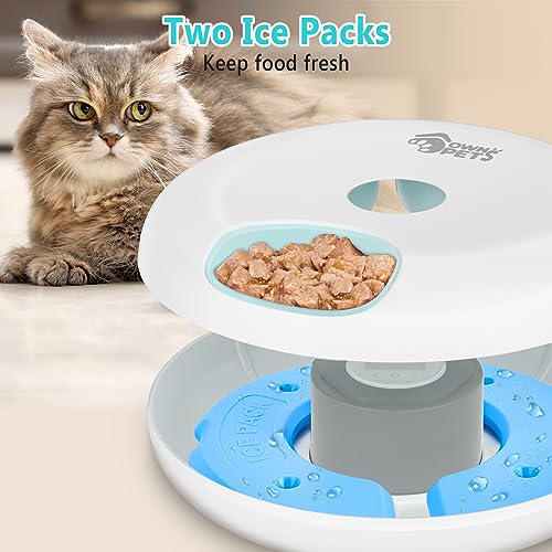 small-animal-timed-feeder-at-benjamin-bomar-blog