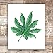 Tropical Leaves Wall Decor Art Prints - Botanical Prints Wall Art (Set of 6) - Unframed 8x10s | Flower Wall Décor | Kitchen Wall Décor | Vintage Wall Décor | Aesthetic Wall Décor | Living Room Décor