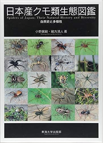 日本産クモ類生態図鑑 自然史と多様性 展嗣 小野 清人 緒方 本 通販 Amazon