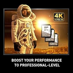 Silicon Power 2-Pack 512GB V60 R/W Up to 280/170