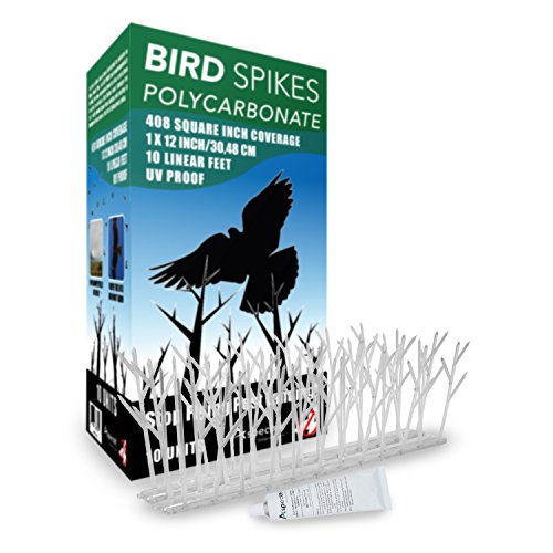 Aspectek Polycarbonate Bird Spikes Kit, 10 Feet with Transparent Silicone Glue Tube