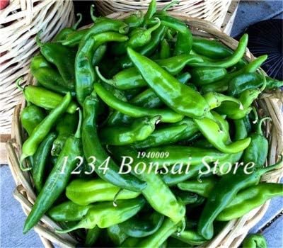 Vegherb Neuer 200 Pc Pfeffer Chili Bonsai Gemuse Frischer Baum Multi Color Gemuse Leicht Growing Paprika Chili S Diy Hausgarten Grun 1 Seeds Only Amazon De Garten