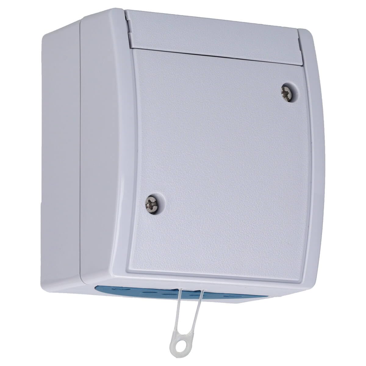 Busch-Jaeger 2610/6 W-53 Pull Switch